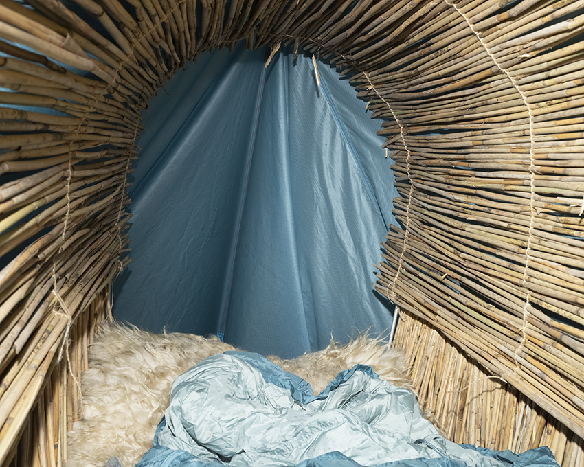 wild basketry